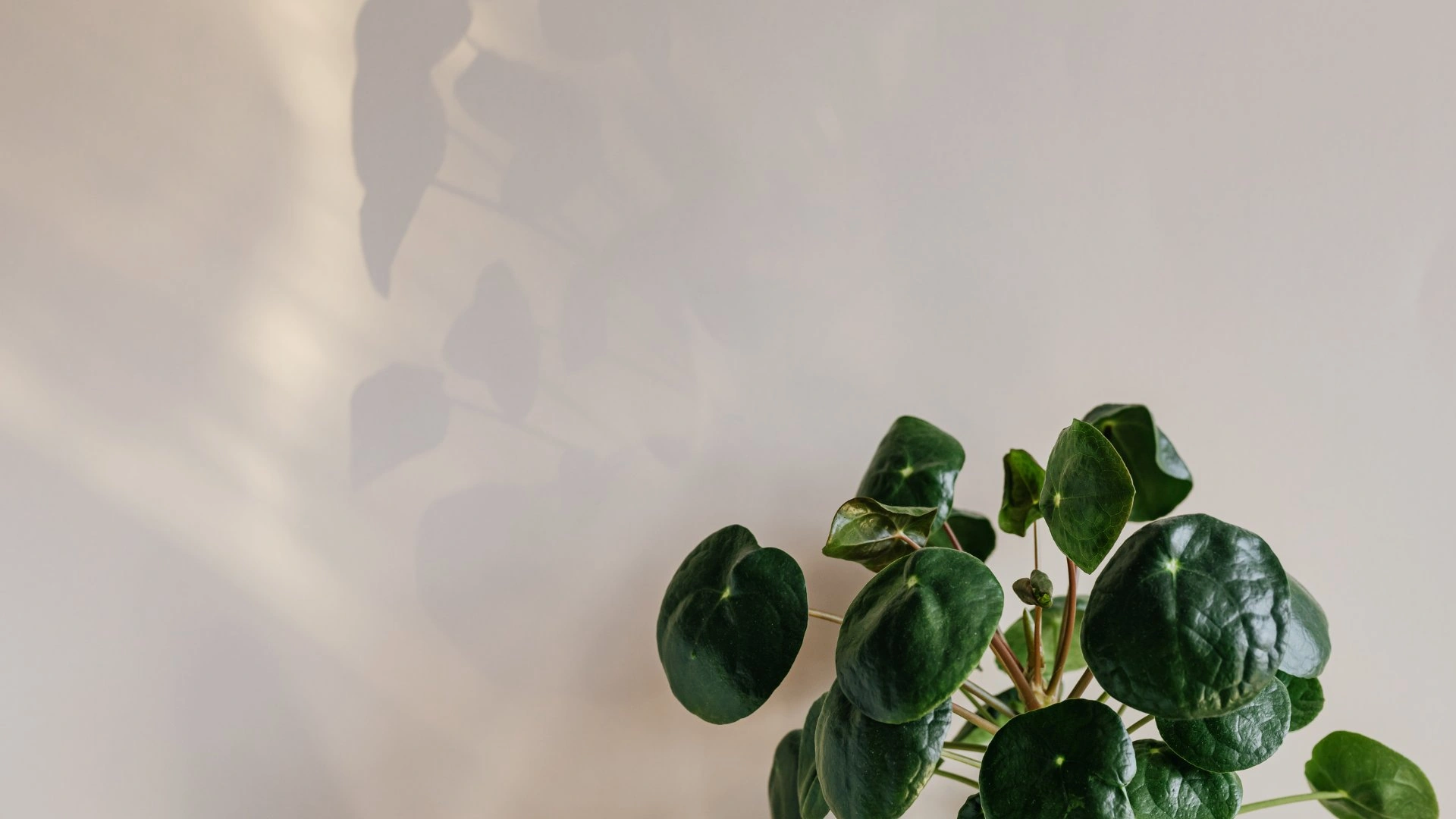 Empresas de pintores Maresme